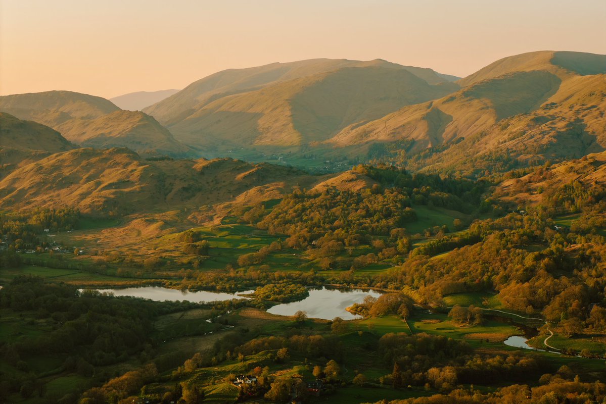 Daniel Casson tweet media