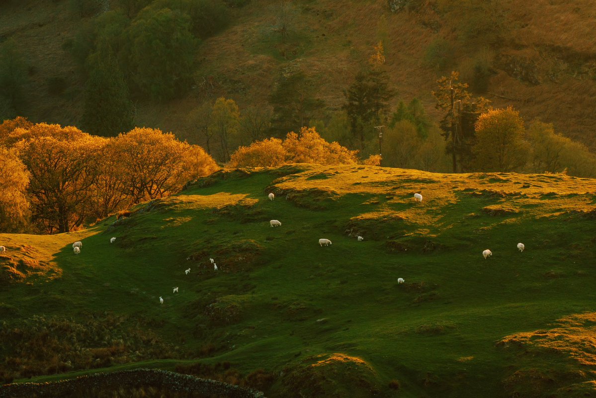 Daniel Casson tweet media