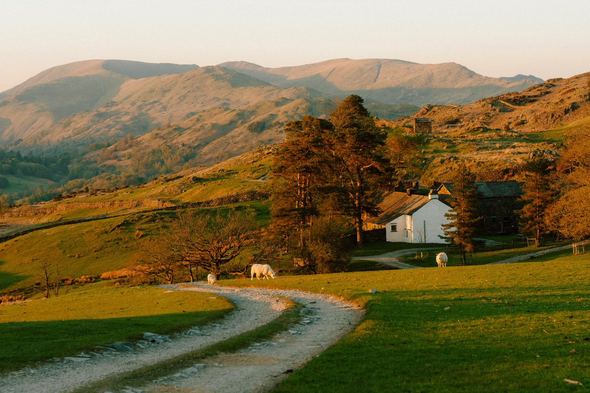 Daniel Casson tweet media