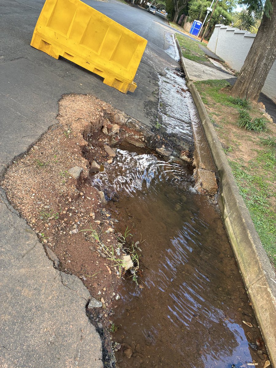 Giulietta Talevi tweet media