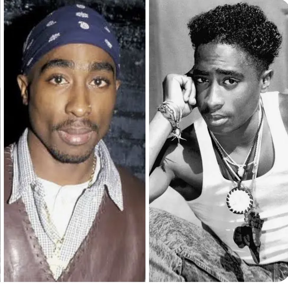 CELESTIAL STAR ⭐️🦉 tweet media