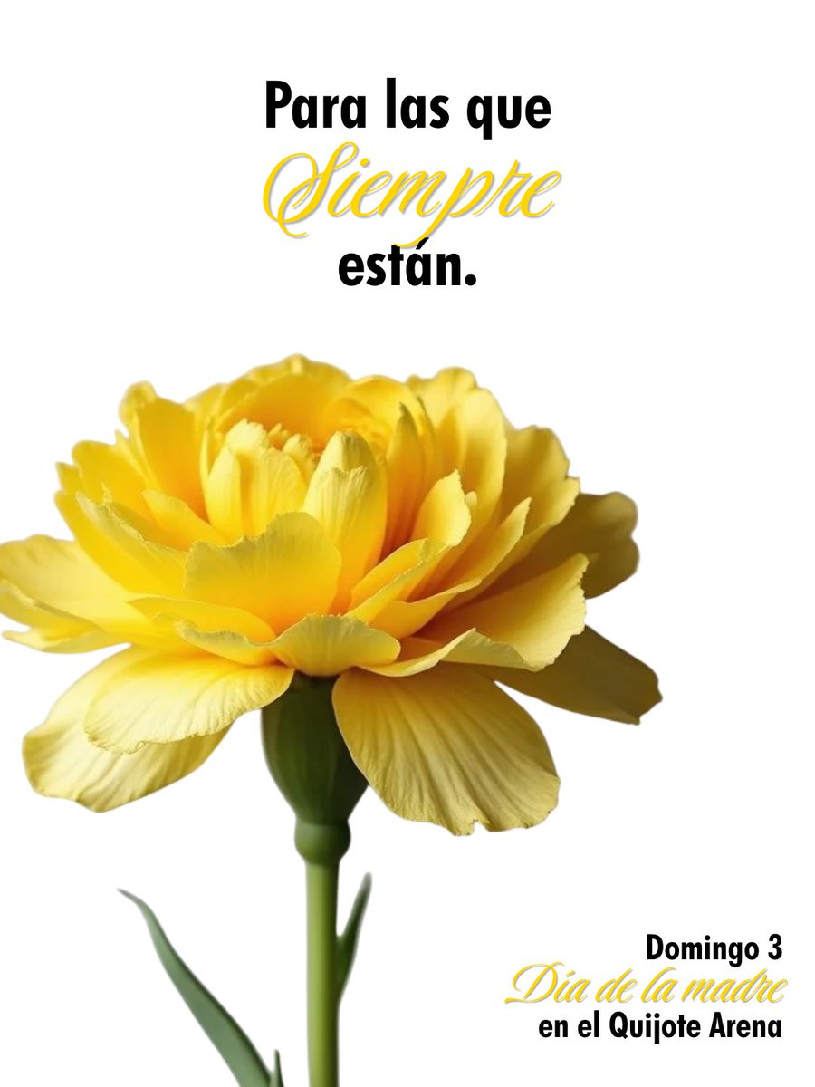 BM_Caserio's tweet photo. 💛 Para las que siempre están 💛

Este domingo 3 celebramos el Día de la Madre en el Quijote Arena 🌼

Un pequeño detalle para las que nunca fallan,
para las que empujan, cuidan y siempre están ahí.

Porque todo empieza en ellas 💛 https://t.co/6Uzt2eDRSS