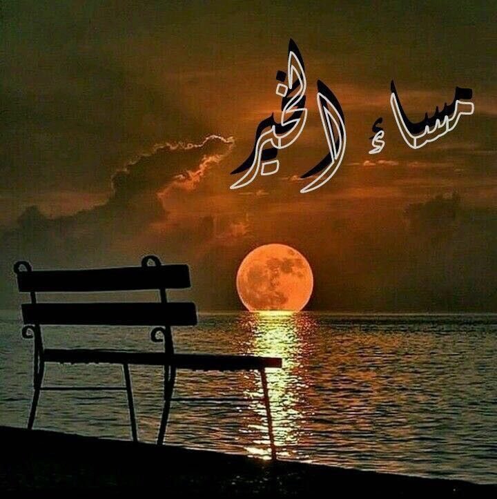 mona tweet media