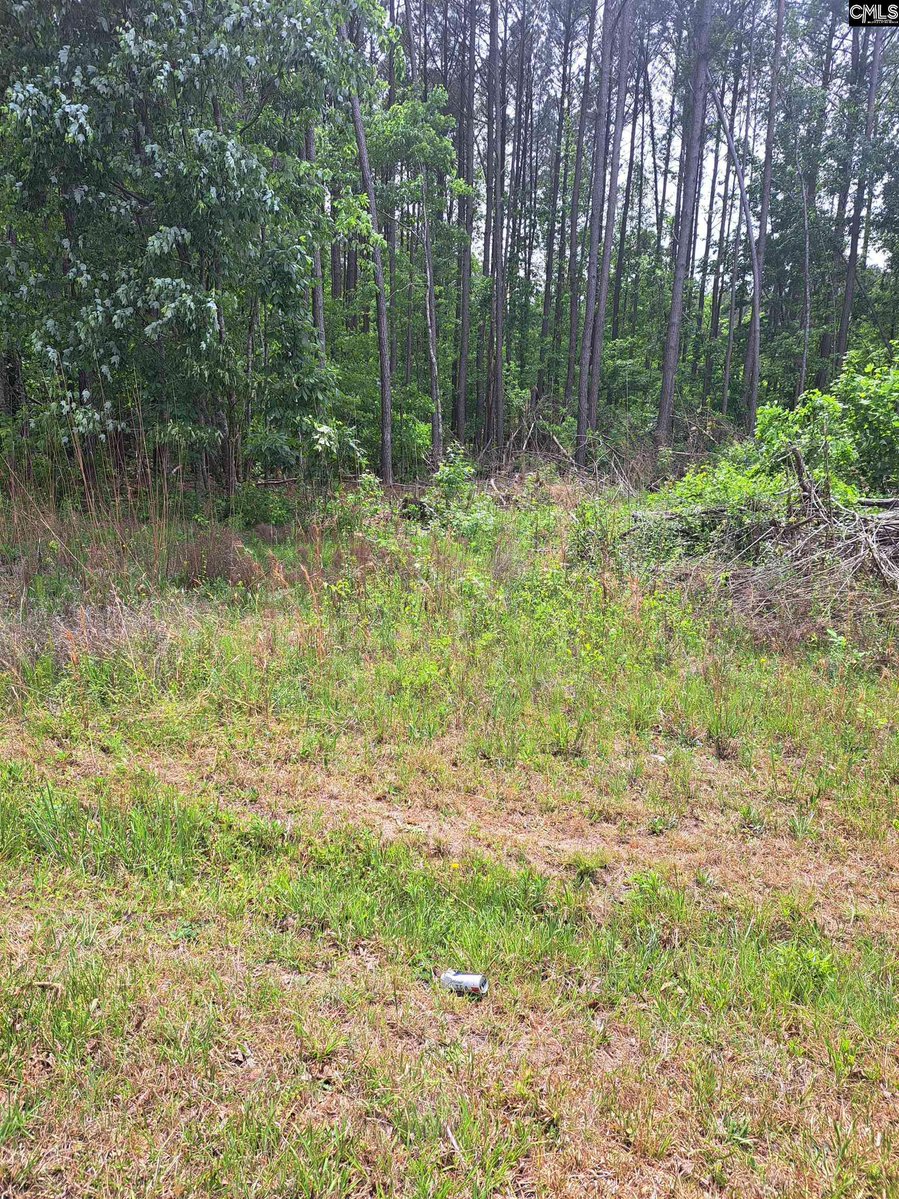 jameswhooker's tweet image. 🚀 Grover Wilson Rd/Dinkins Place Rd, MLS#632144, is calling your name! Whether you’re building, investing, or just dreaming, this hot property is waiting for you.

Get the full scoop &amp;amp; see all the pics:
jameswhooker.com/d8rd5uzi

#LandForSale #OwnLand #LandInvestment