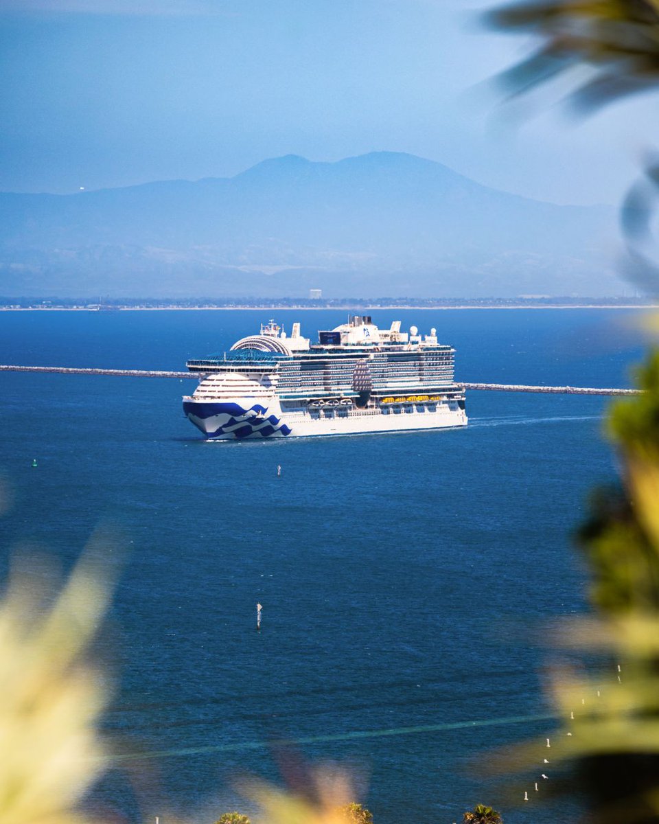 Princess Cruises tweet media