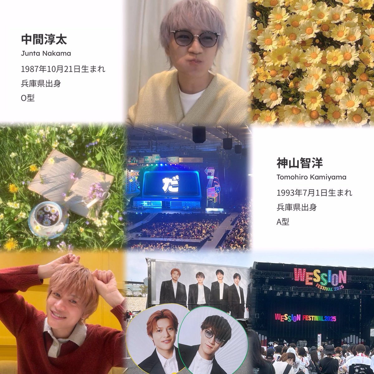 莉 . tweet media