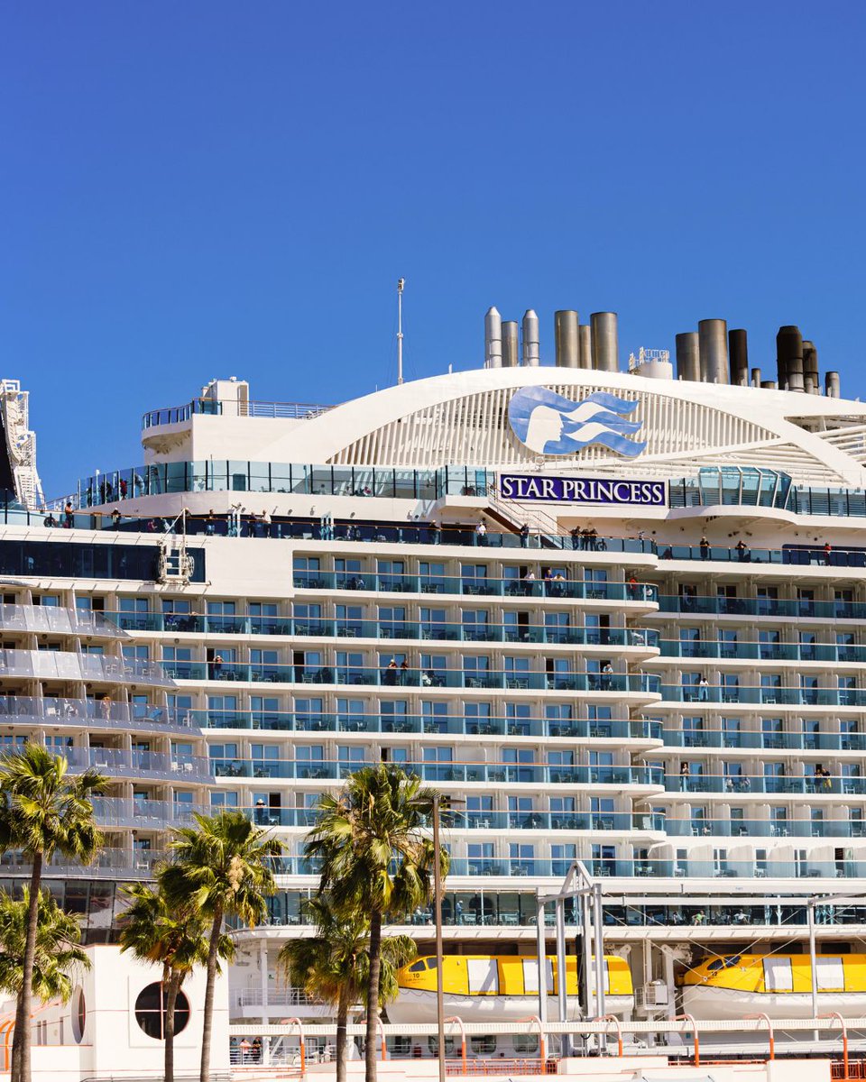 Princess Cruises tweet media