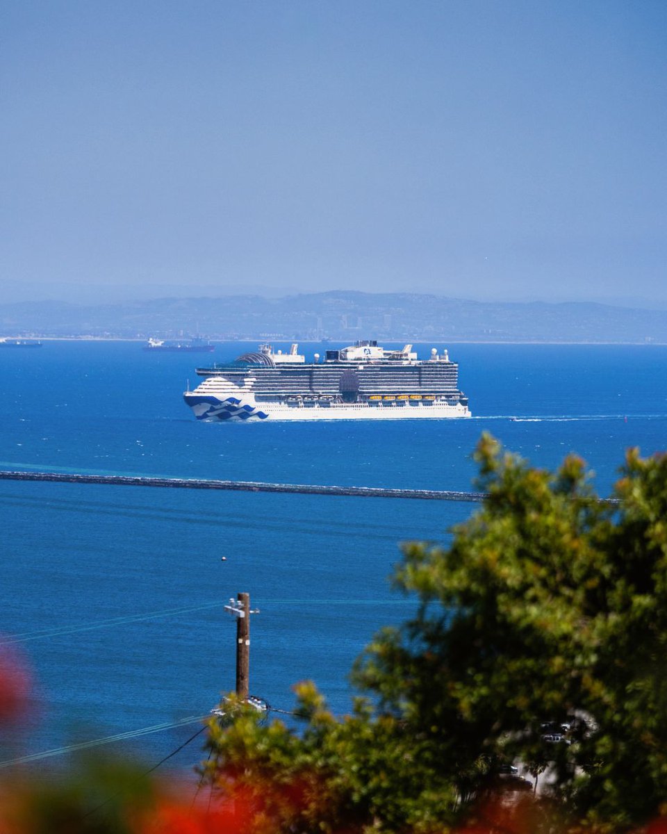 Princess Cruises tweet media