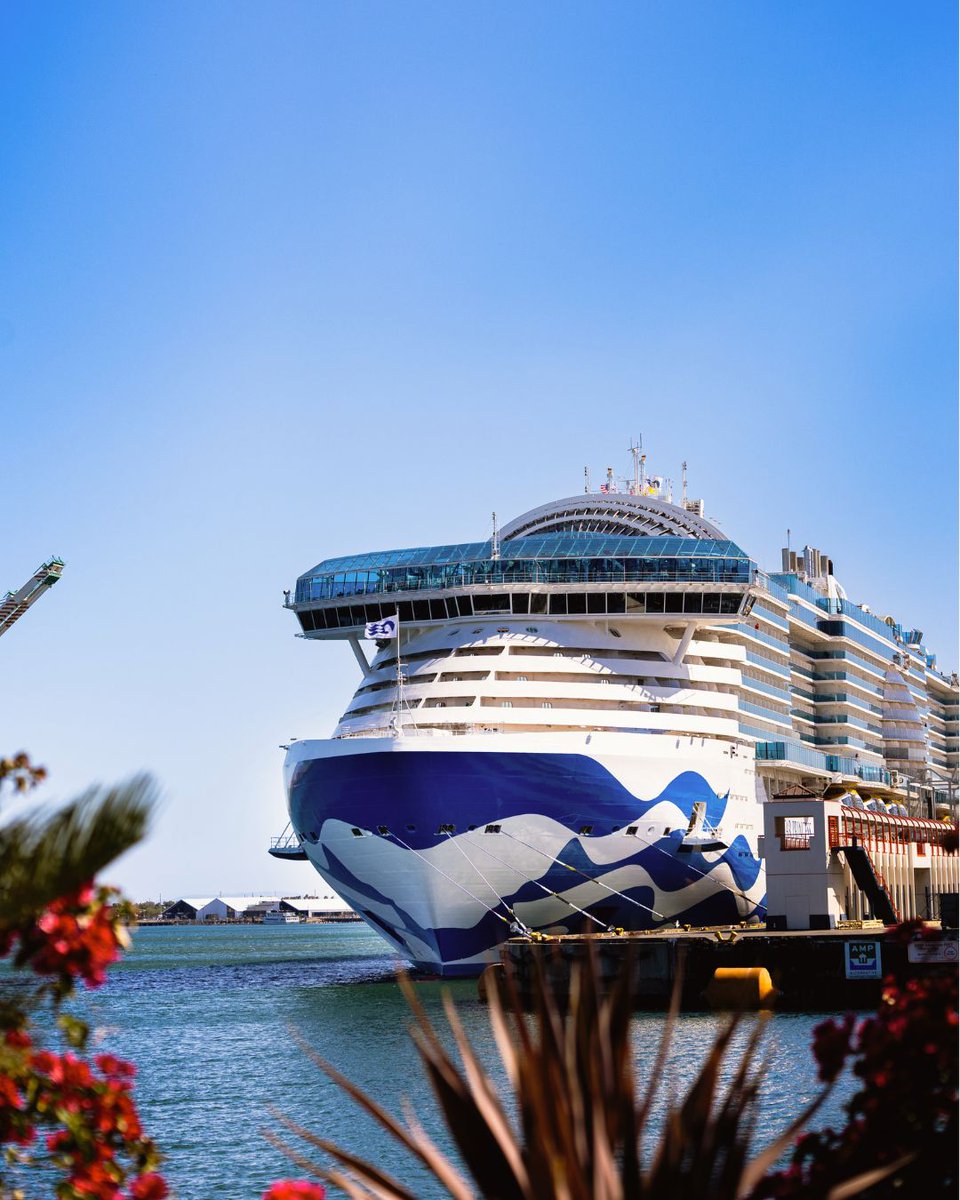 Princess Cruises tweet media