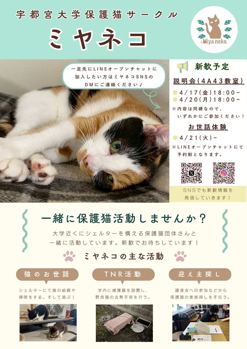 ミヤネコ(宇都宮大学保護猫サークル) tweet media