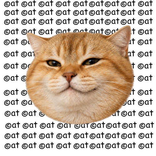 scrapemaster tweet media