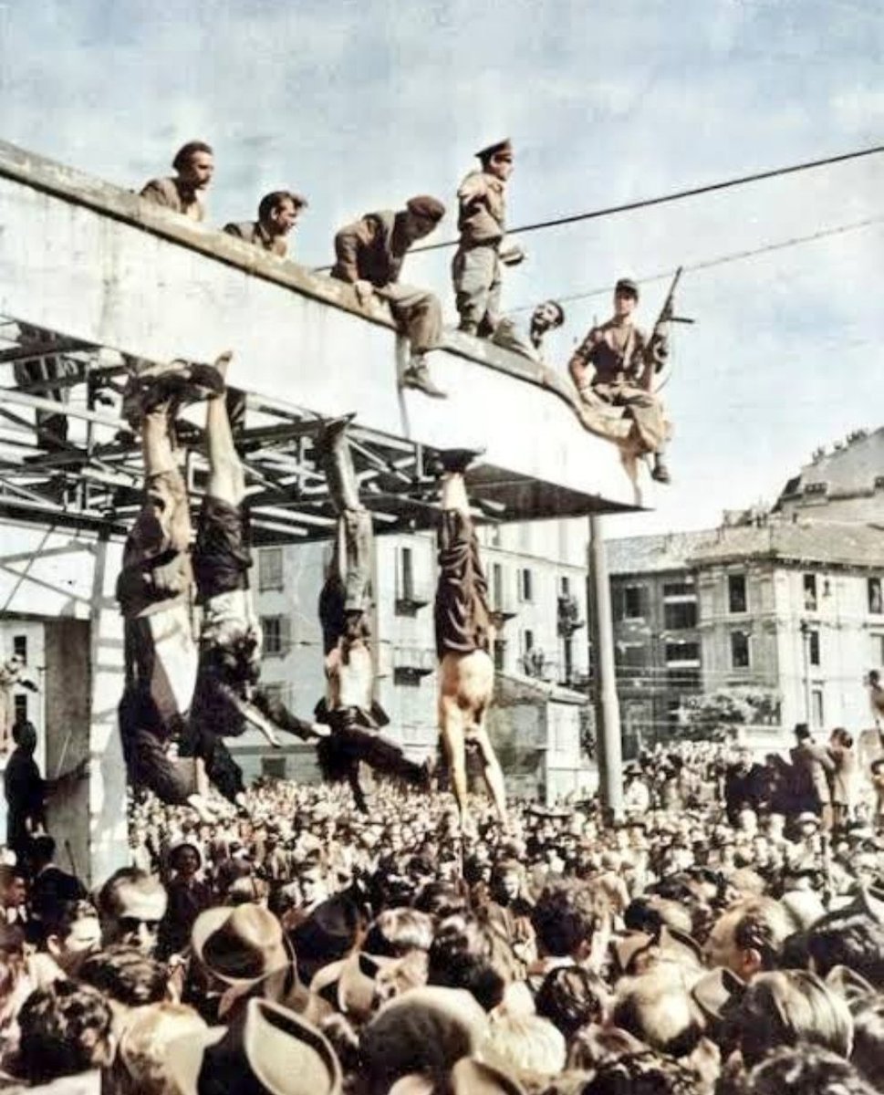 stefano p tweet media