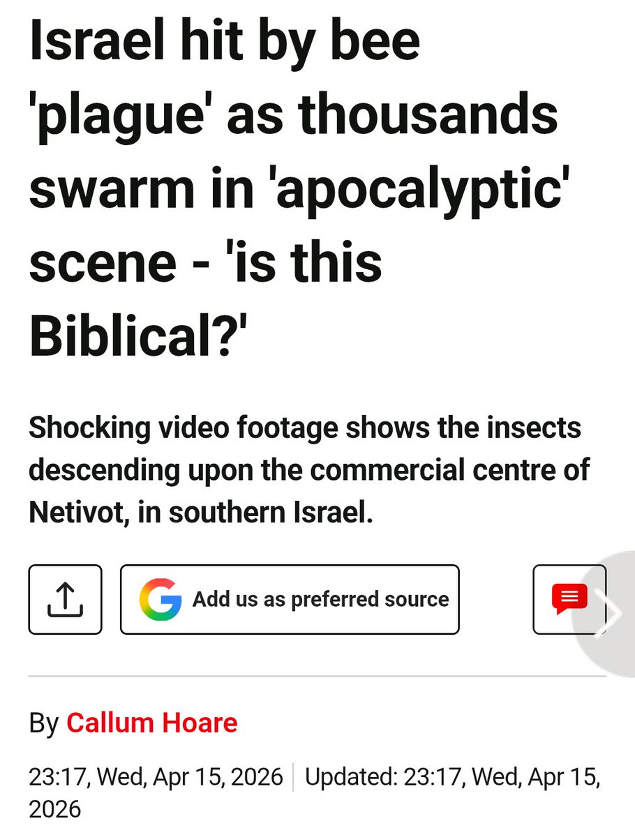 Truckin Texan🇩🇪🏴‍☠️🇺🇲 tweet media