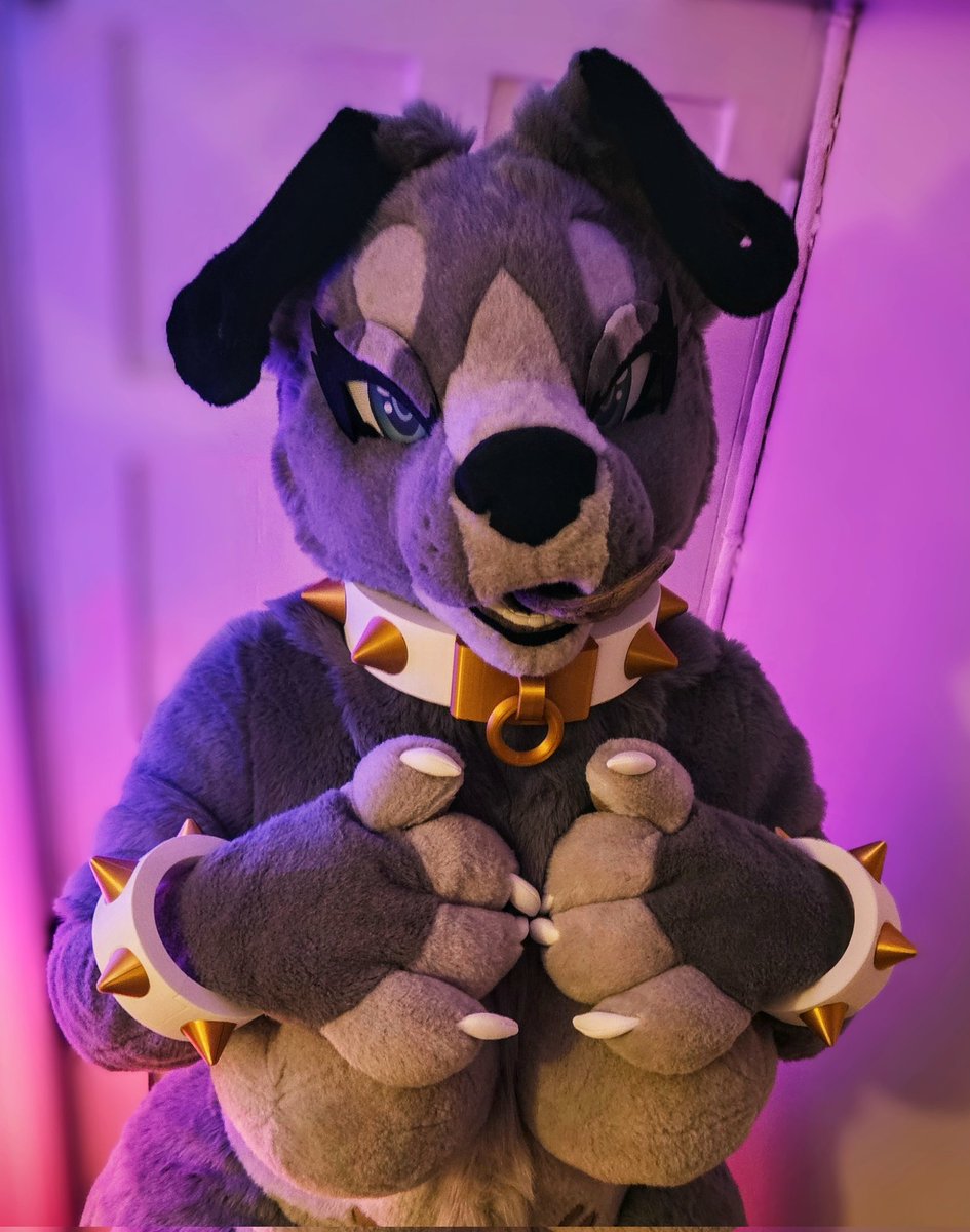 ✨️💋𝓡𝓪𝓳𝓪🐾✨️ tweet media