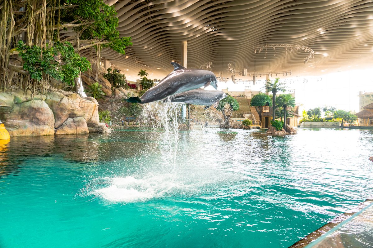 SeaWorld Yas Island, Abu Dhabi tweet media