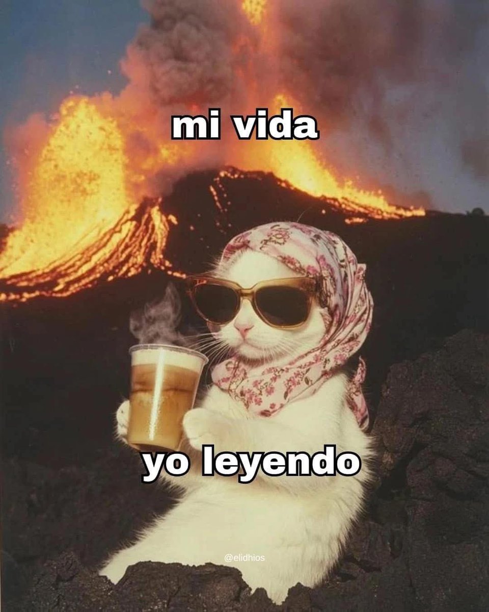 Amor por los libros tweet media