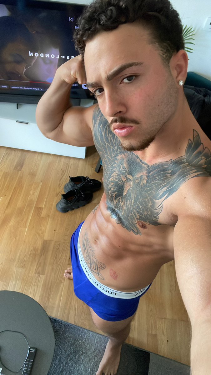 Master Stallion 👑 tweet media