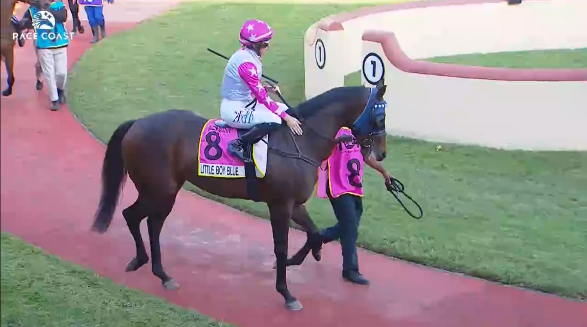 rebelsart's tweet image. 🇫🇷 Mickaëlle Michel🇯🇵@MickaelleMichel racing on Wednesday at Scottsville, South Africa‼️🏇🇿🇦
Race 4 #2 Convocation
Race 9 #8 Little Boy Blue
💥Fight!💥
#NeverGiveUp #WorkHard #MickaelleMichel
M.ミシェル #ミカエルミシェル
💪👊🌪️🥰
@FredericSpanu @noriri4 @ma_ouma1 @sebgoursaud