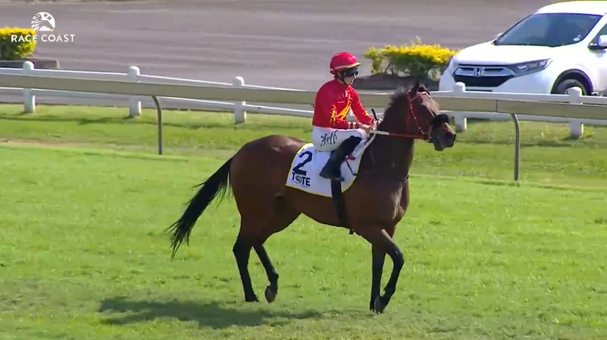 rebelsart's tweet image. 🇫🇷 Mickaëlle Michel🇯🇵@MickaelleMichel racing on Wednesday at Scottsville, South Africa‼️🏇🇿🇦
Race 4 #2 Convocation
Race 9 #8 Little Boy Blue
💥Fight!💥
#NeverGiveUp #WorkHard #MickaelleMichel
M.ミシェル #ミカエルミシェル
💪👊🌪️🥰
@FredericSpanu @noriri4 @ma_ouma1 @sebgoursaud