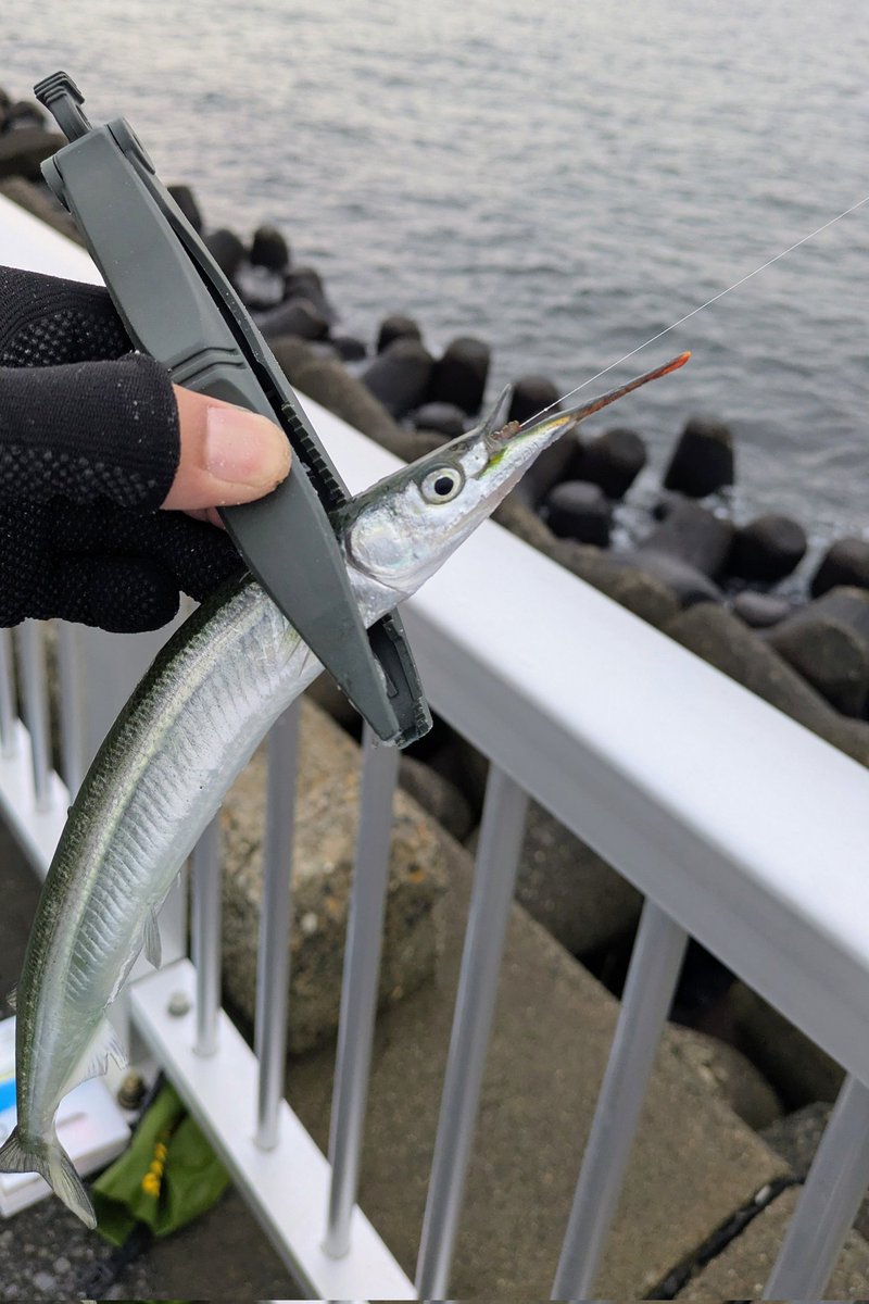 モカ&まろん tweet media