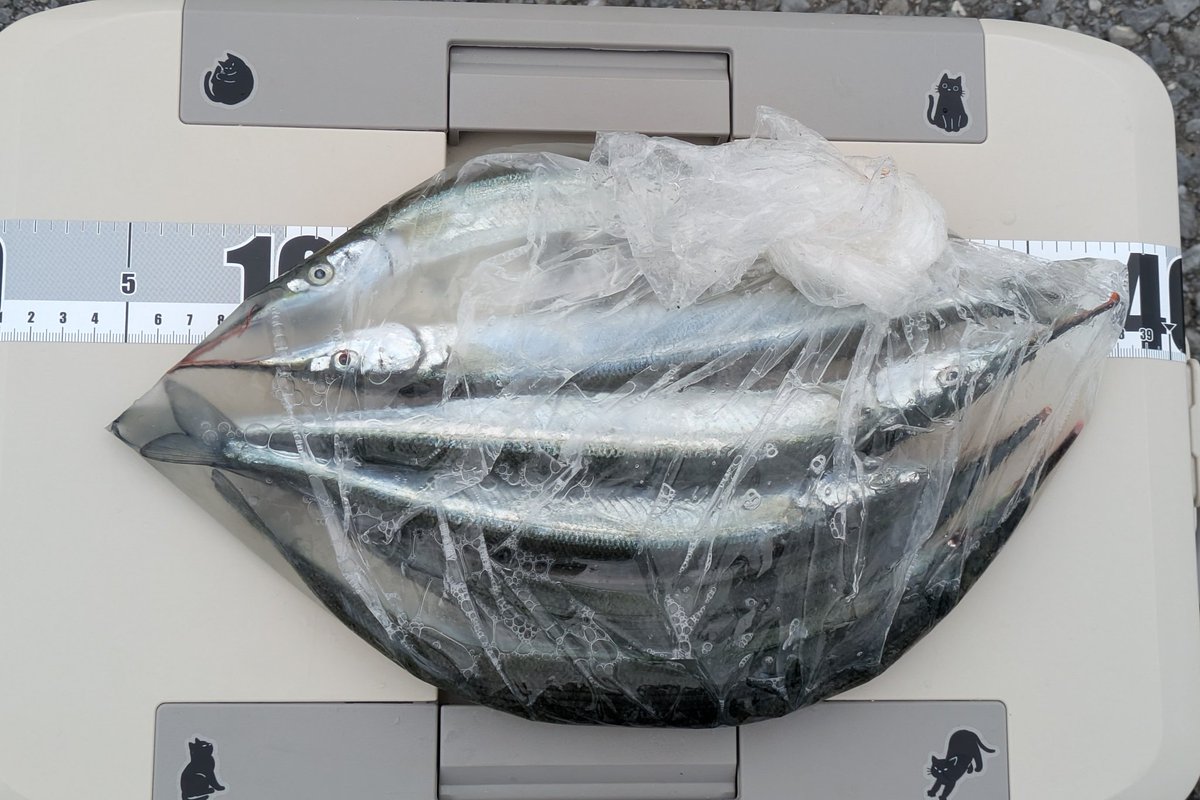 モカ&まろん tweet media