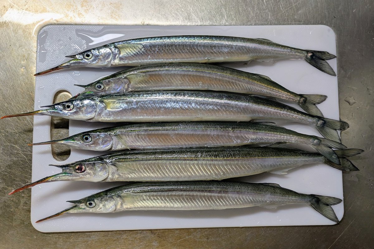 モカ&まろん tweet media