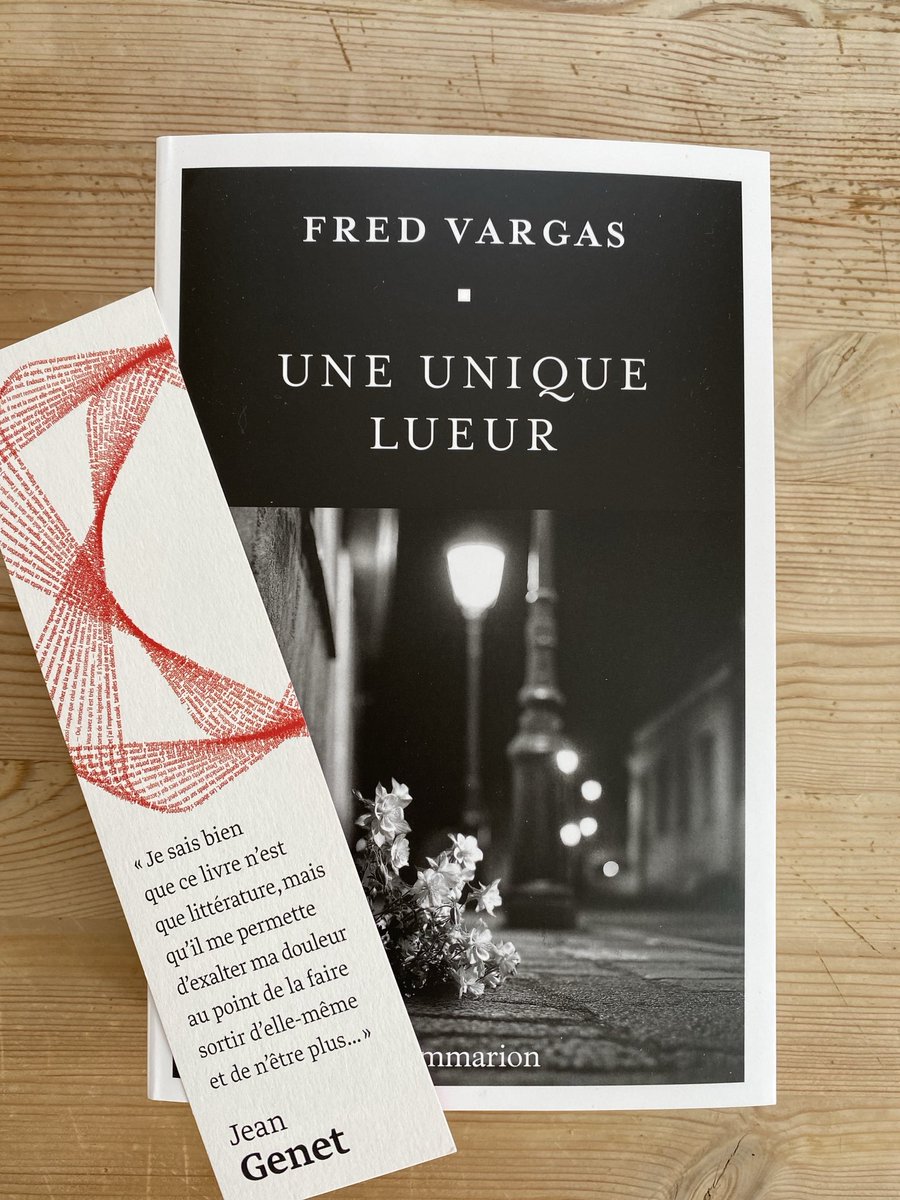 BalittEve's tweet photo. Lecture du moment : le dernier roman de Fred Vargas, Une unique lueur. https://t.co/1hbwVtI3t8