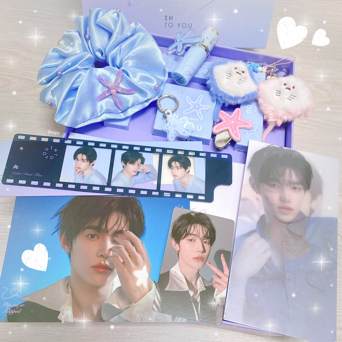 我也收到了漂亮的海星寶寶&amp;還有兩隻小鰩魚也一起嘿嘿🥰
