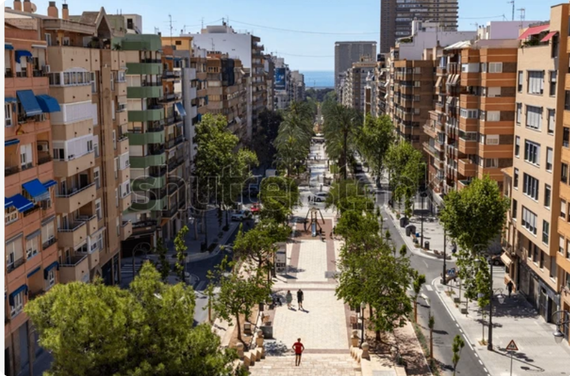 Mr. Alphabet tweet media