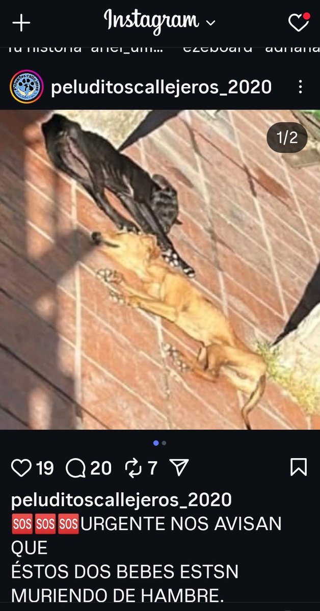 ℂ𝕙𝕚𝕔𝕒 𝕄𝕚𝕘𝕣𝕒ñ𝕒 tweet media