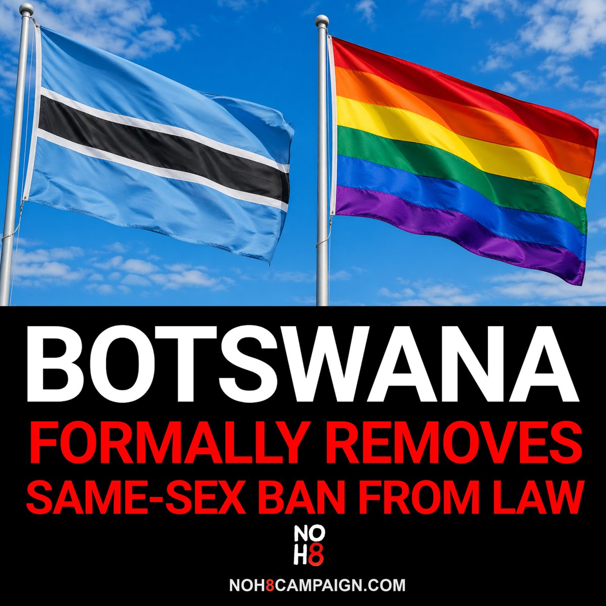 NOH8 Campaign tweet media