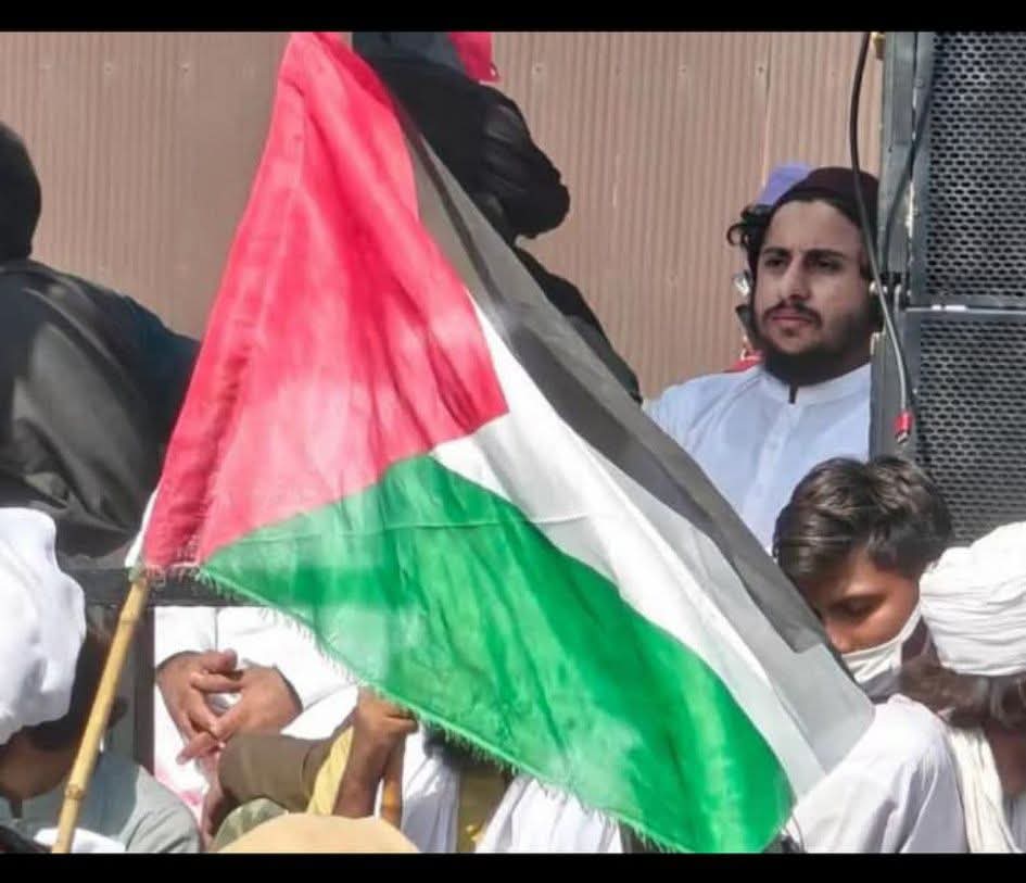 NOOR FATIMA رضویہ tweet media