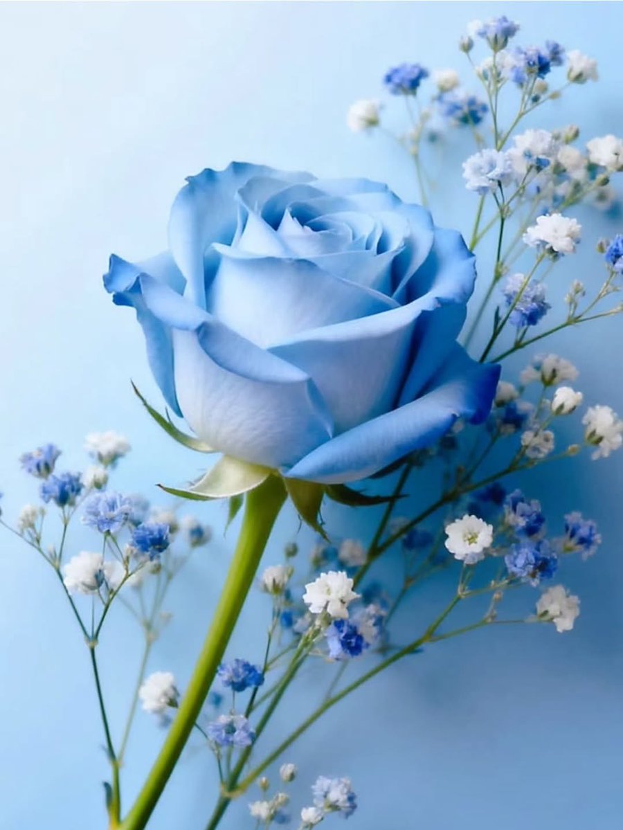 gibbous_leo's tweet image. pin.it/2T1XD98eJ
#pinterest