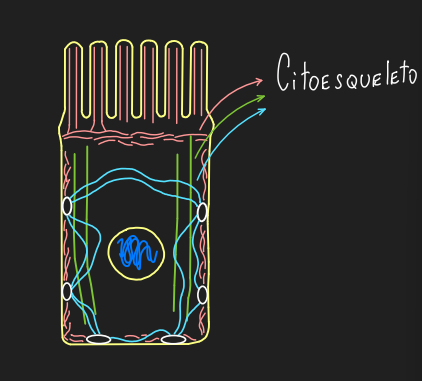 Letícia🩺 tweet media