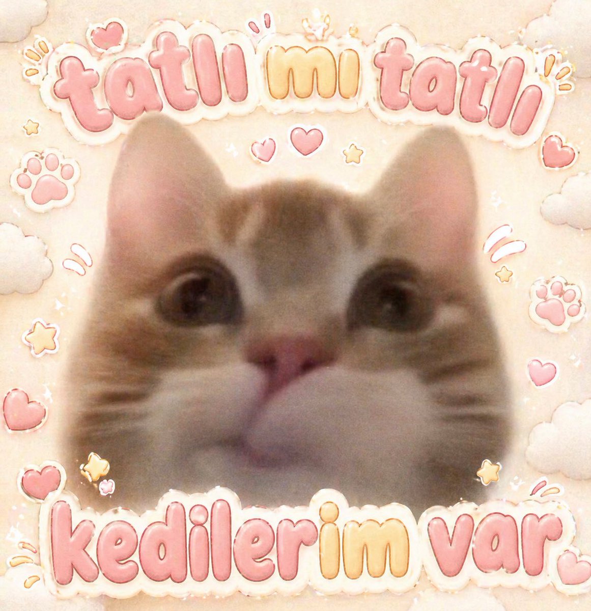 Yildizsu ✮⋆˙ tweet media