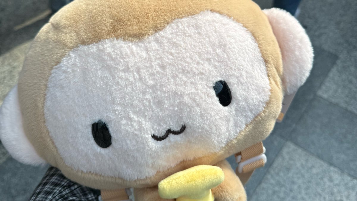 코리 tweet media