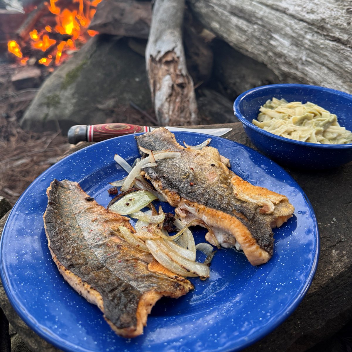Algonquin_PP's tweet photo. Fishing trout in Algonquin this spring? Consider fishing lead free!

Did you know that a single lost sinker or jig contains enough lead to kill a Common Loon or other waterbird?

Help protect our lakes and wildlife while enjoying the outdoors.

Review: https://t.co/TbBECftnPW https://t.co/XVLUDAebpT