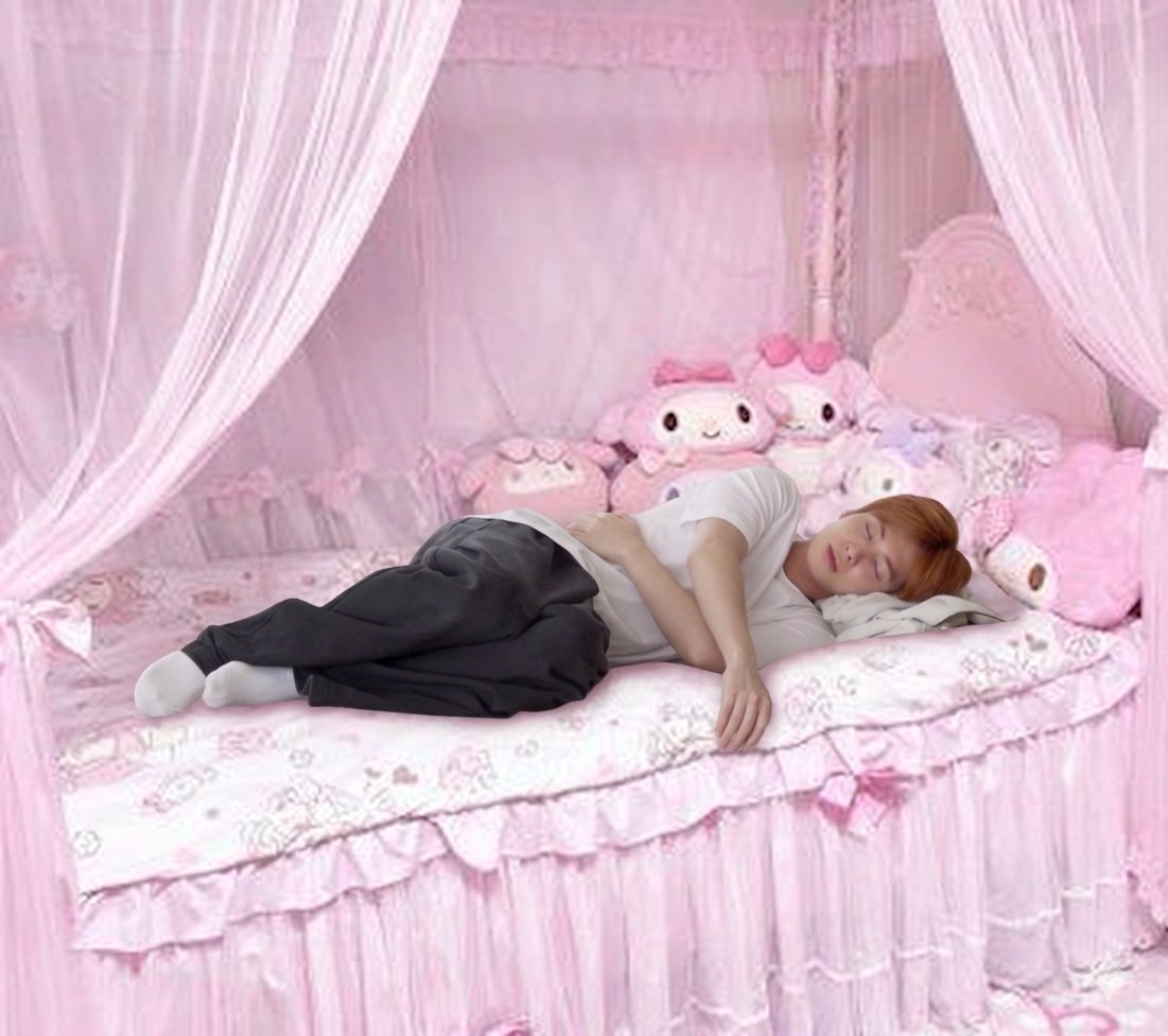 ,    sleeping kitten⠀ ̫ㅤ︎ຶ   ၇͜ᩘ#𑁍   ⎯ּ︭ㅤㅤ۪🩷🐈