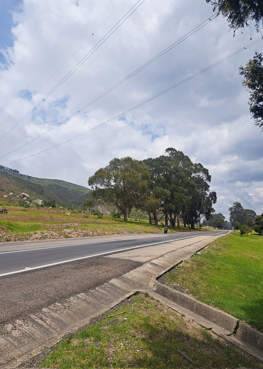 👉 Ella y Él ,Privado tweet media