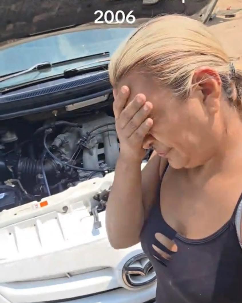 Todo Motor tweet media