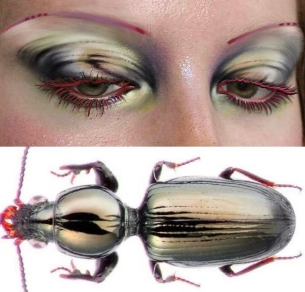 W. (@9ulwi) on Twitter photo 