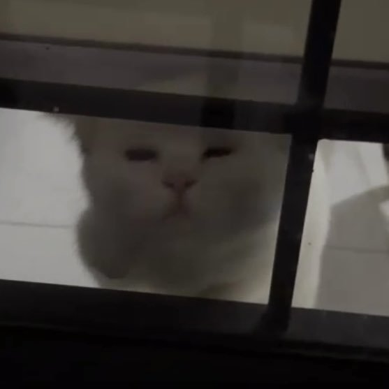 kylo loves minecraft tweet media