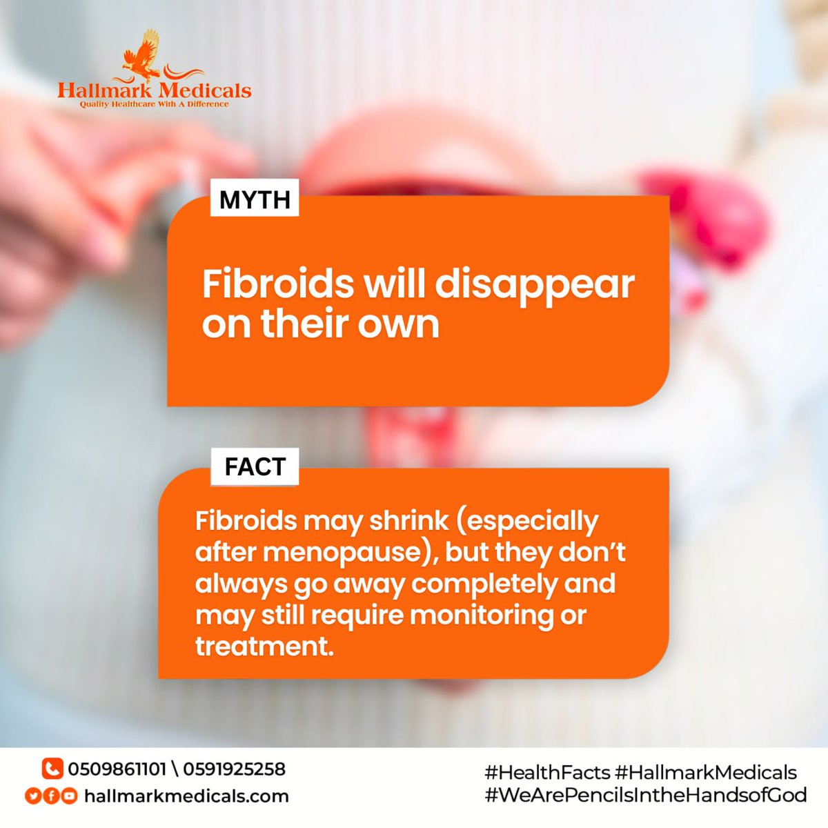 HallmarkMed's tweet photo. Many women assume fibroids will resolve on their own, only to later experience symptoms that become harder to manage.
Early monitoring gives you options.
Book an appointment today!
☎️0591925258/ 0509861101
or https://t.co/TcMk1UbDKk
#fertilitytreatment #assistedreproduction https://t.co/lxL4N4vZp7