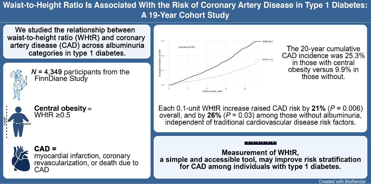 DiabetesCareADA's tweet image. New findings from the FinnDiane Study show that central obesity increases the risk of coronary artery disease in people with type 1 diabetes. #T1D #Cardiology #Obesity #WHtR

Read here ➡️ doi.org/10.2337/dc25-2…

@AmDiabetesAssn @ADA_DiabetesPro @ADA_Pubs