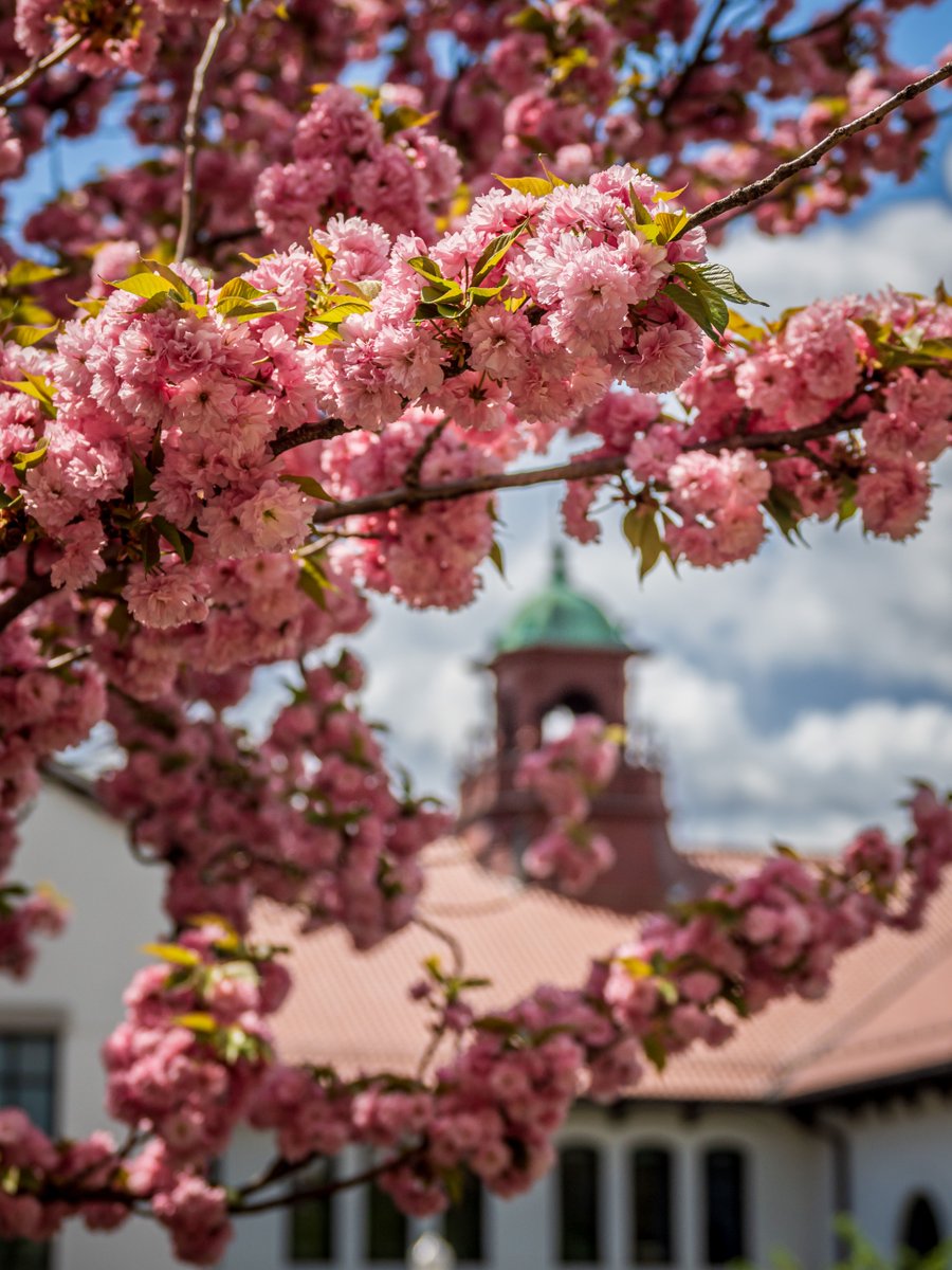 Montclair State University tweet media