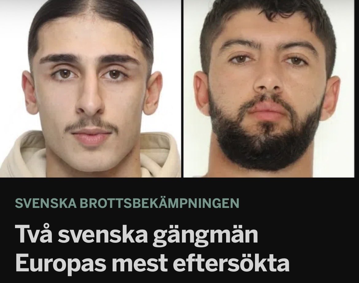 Evelina Hahne tweet media