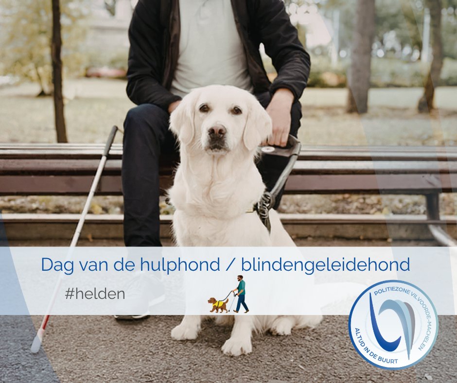 Politie VIMA tweet media
