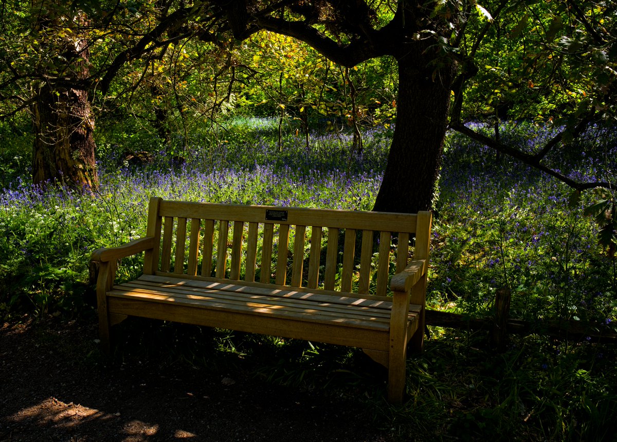 Cosimoss's tweet photo. Peaceful Haven | Family Commemorative Bench Kew Gardens Roya… | Flickr

#flickr https://t.co/2CXbAzmnTB https://t.co/QXSjf9h0Om