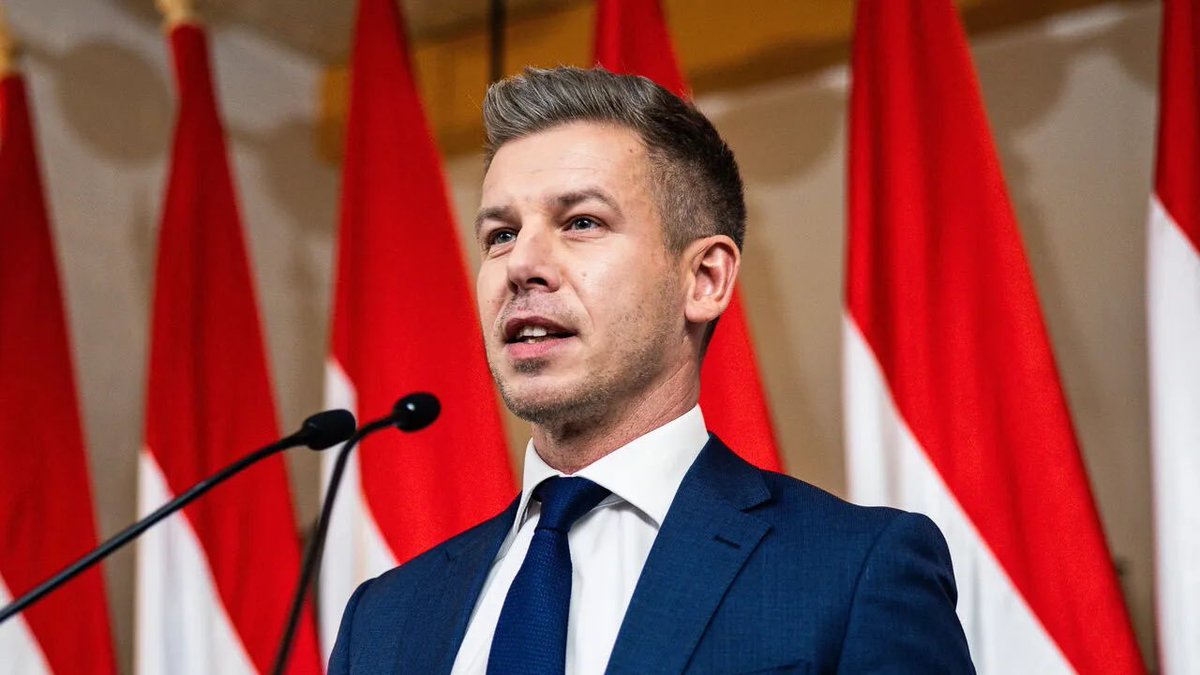 Elisa Mosini 🇪🇺🇮🇹 tweet media