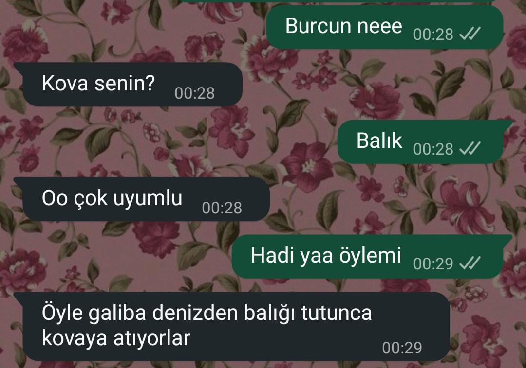 tamamdiirya tweet media